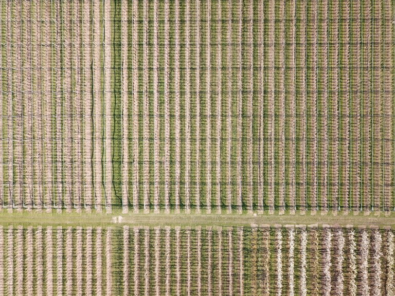 ES_DJI_0253.jpg