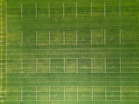 DJI_0025.jpg