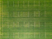 DJI_0025.jpg