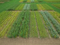 DJI_0142.jpg