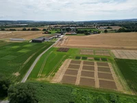 DJI_0260.jpg