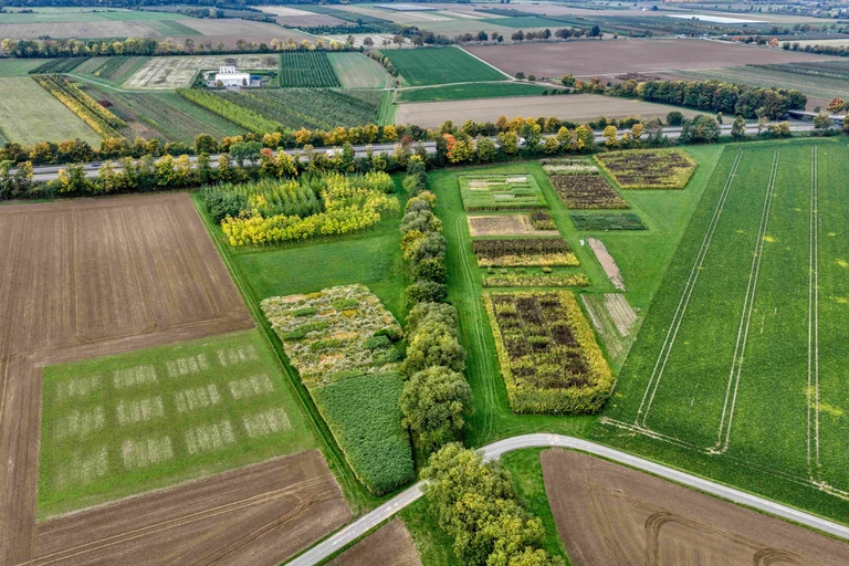 DJI_20251010112740_0007_L1 A.webp