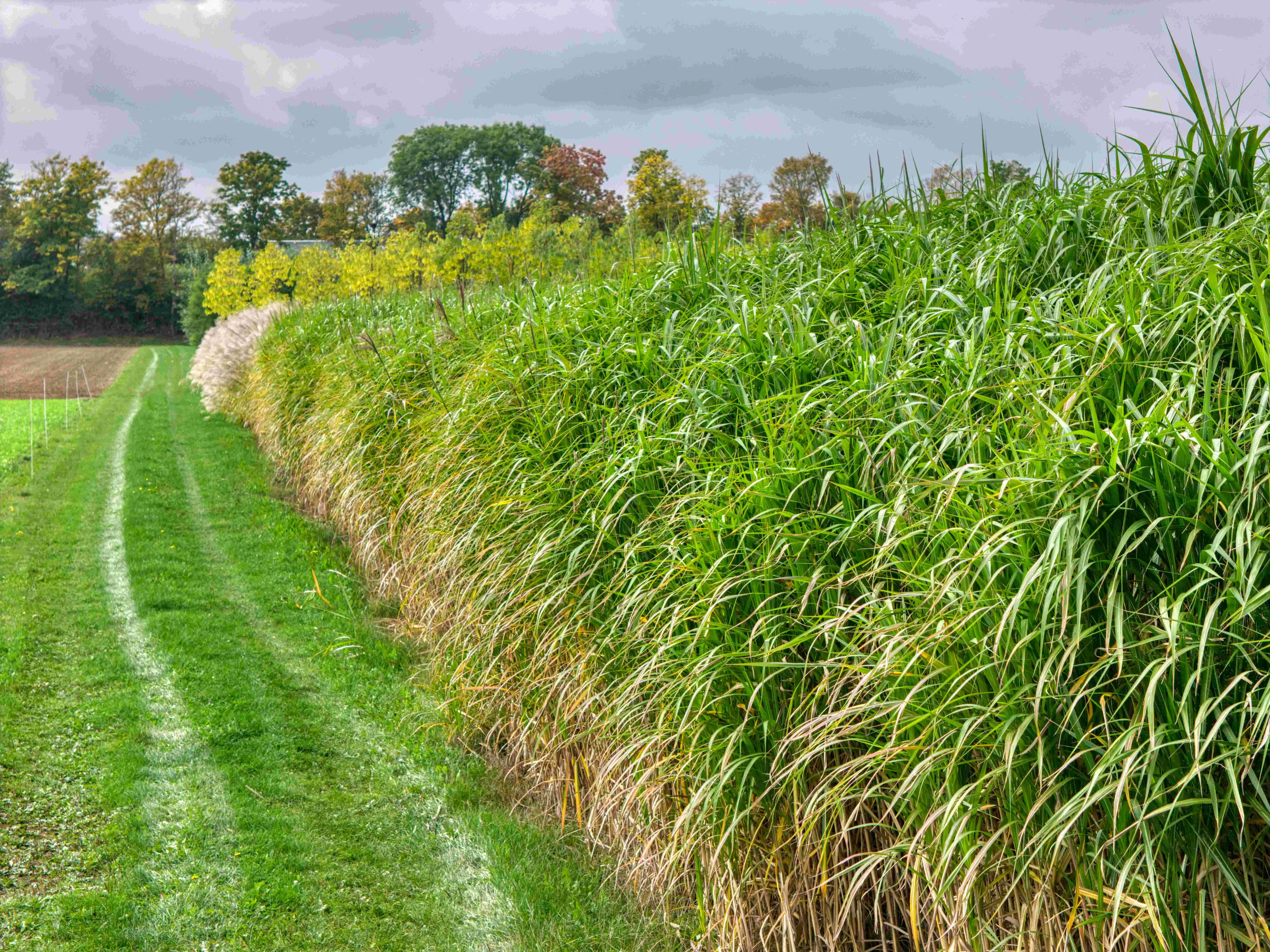 DJI_20251010124919_0040_L2 AC2+.webp