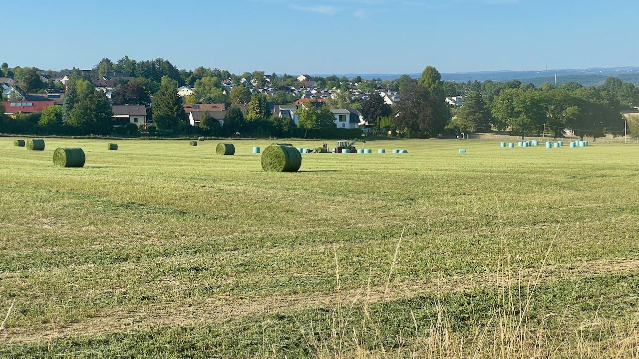 20220810 Luzernesilage Rundballen auf Schlag1 (2).jpeg