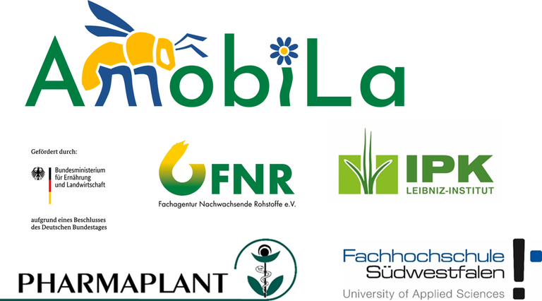 logos_Partner.png logos_Partner.png