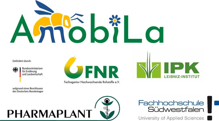 logos_Partner.png