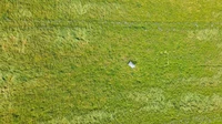 Gruenland_Bluehstreifen_Beweidungsmanagement_3.jpg